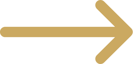 Icon Pfeil